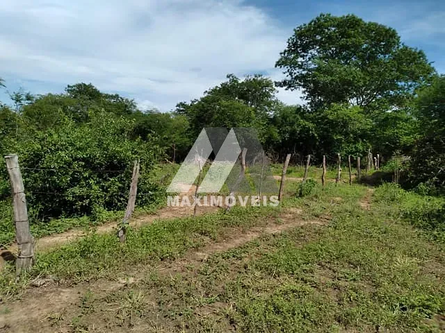 Sítio com 60000m², à venda, no bairro Zona Rural em Araçuaí