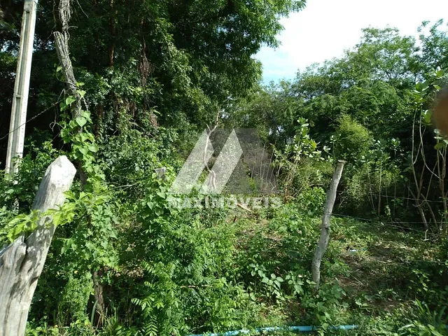 Sítio com 60000m², à venda, no bairro Zona Rural em Araçuaí