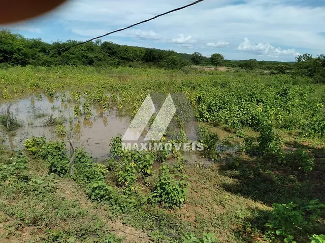 Sítio com 60000m², à venda, no bairro Zona Rural em Araçuaí