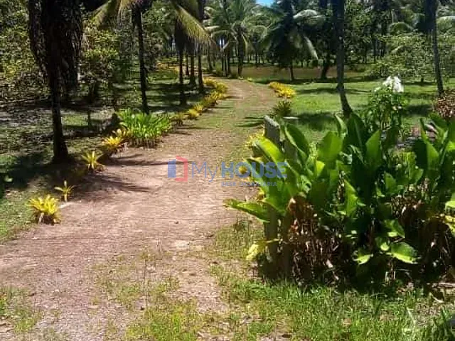 Sítio com 300m² 3 quartos e 2 banheiros, à venda, no bairro Iguape em Ilhéus