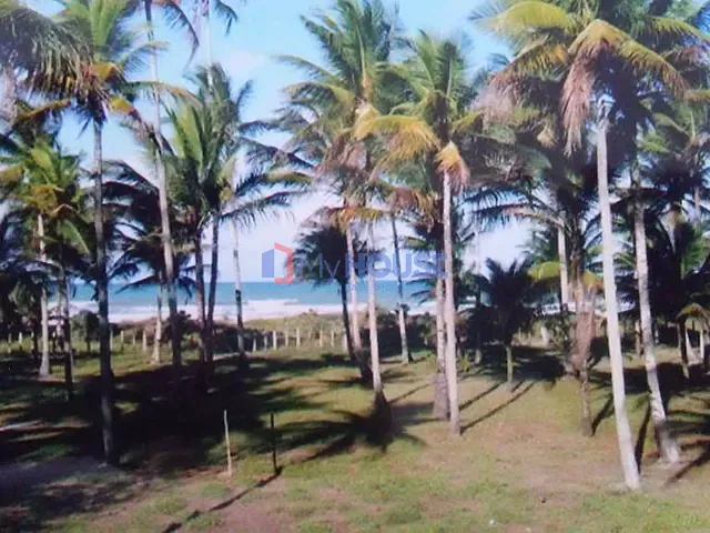 Sítio com 300m² 3 quartos e 2 banheiros, à venda, no bairro Iguape em Ilhéus