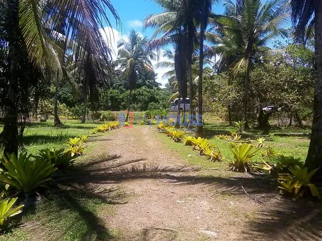 Sítio com 300m² 3 quartos e 2 banheiros, à venda, no bairro Iguape em Ilhéus