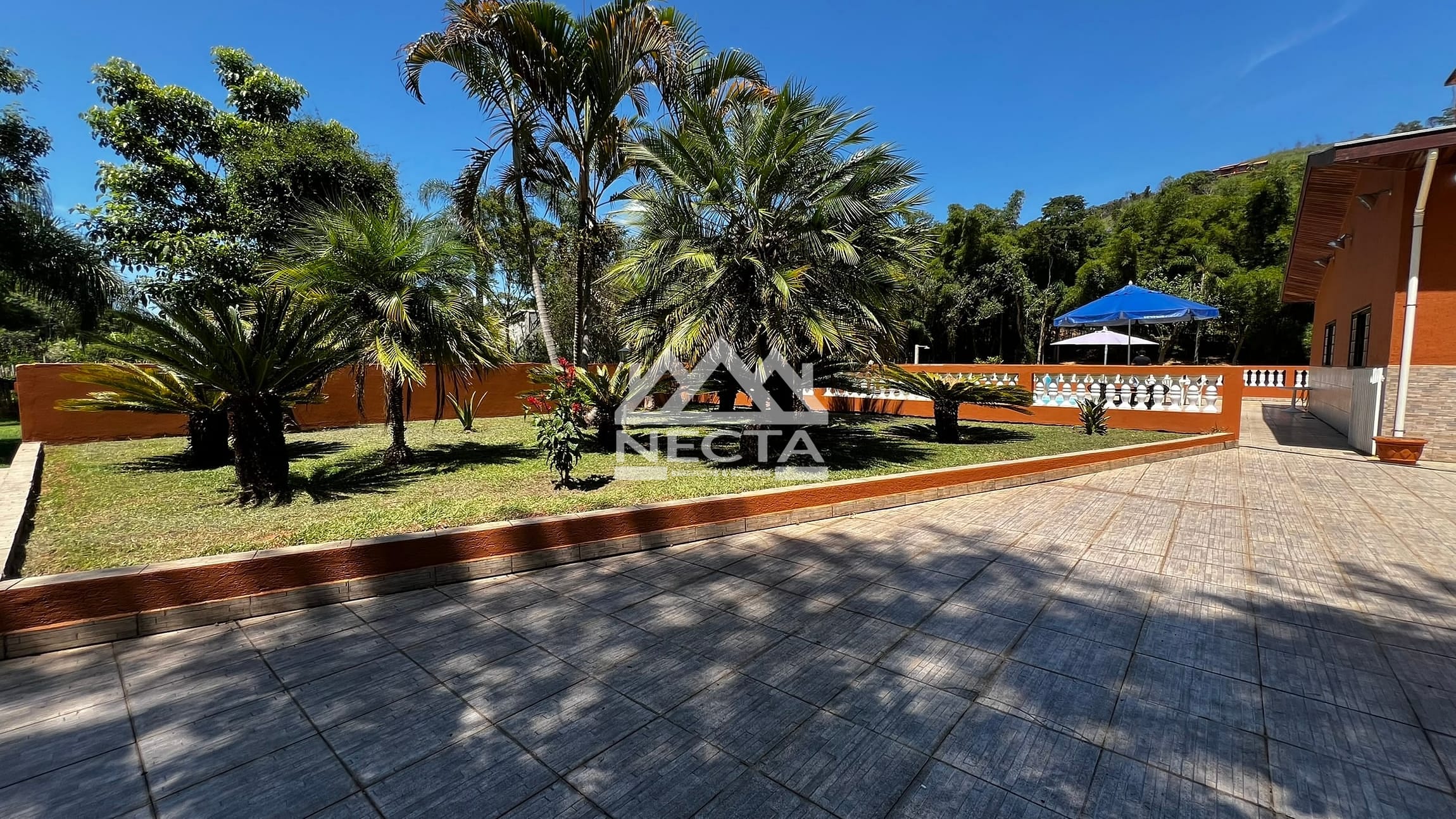 Chácara, 5 quartos, 11 hectares - Foto 91