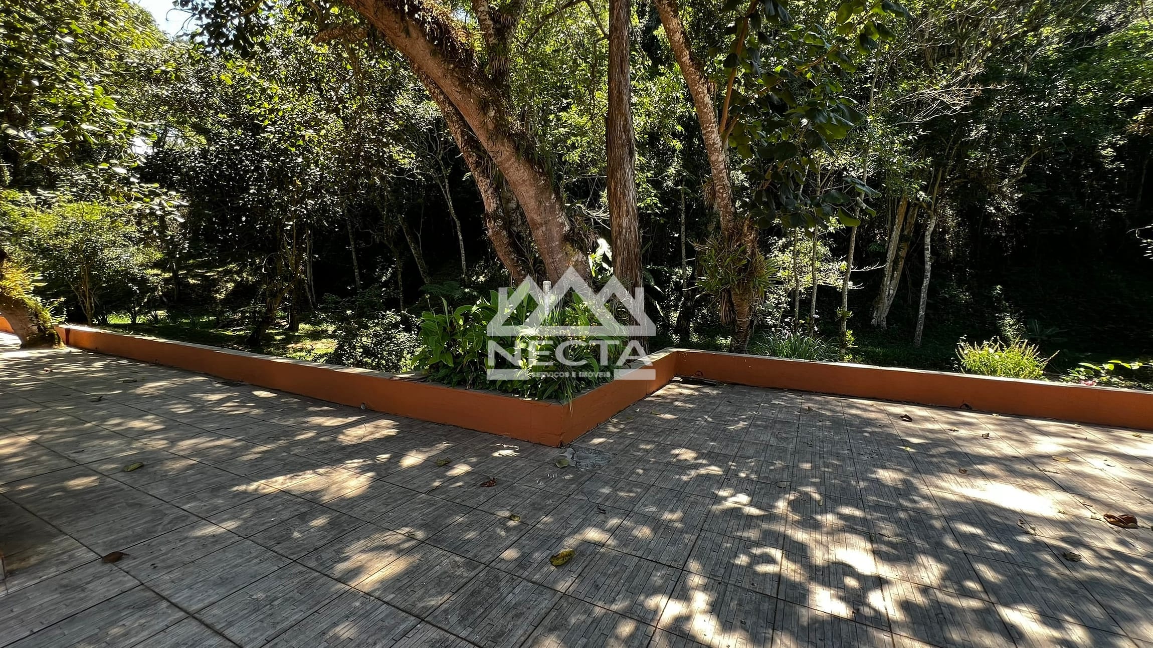 Chácara, 5 quartos, 11 hectares - Foto 94