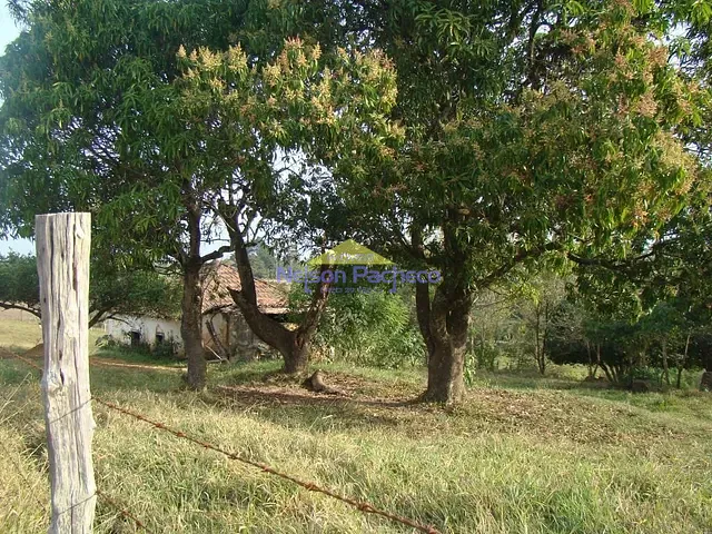Sítio com 52000m², à venda ou para alugar, no bairro Jardim das Oliveiras em Mombuca