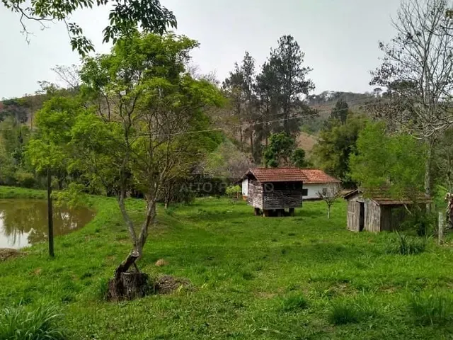 Sítio com 40300m² 4 quartos e 3 banheiros, à venda, no bairro Zona Rural em Cunha