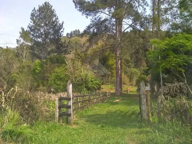 Sítio com 40300m² 4 quartos e 3 banheiros, à venda, no bairro Zona Rural em Cunha