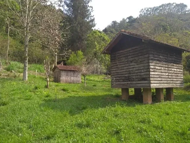 Sítio com 40300m² 4 quartos e 3 banheiros, à venda, no bairro Zona Rural em Cunha