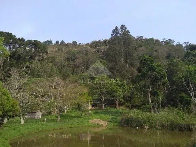 Sítio com 40300m² 4 quartos e 3 banheiros, à venda, no bairro Zona Rural em Cunha