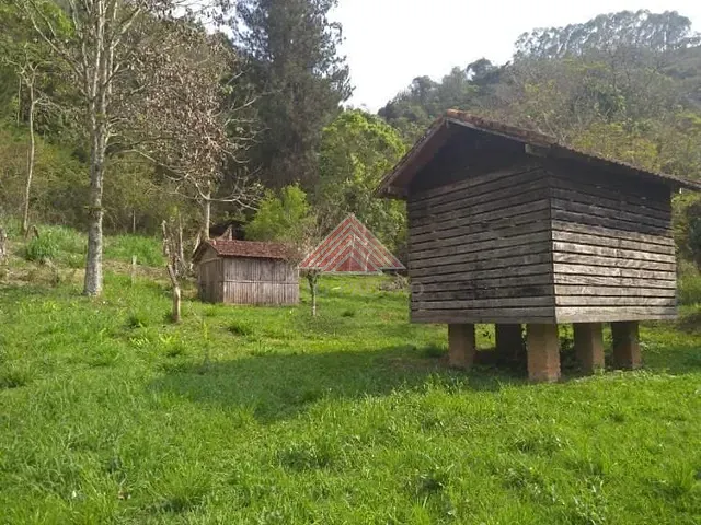 Sítio com 40300m² 4 quartos e 3 banheiros, à venda, no bairro Zona Rural em Cunha