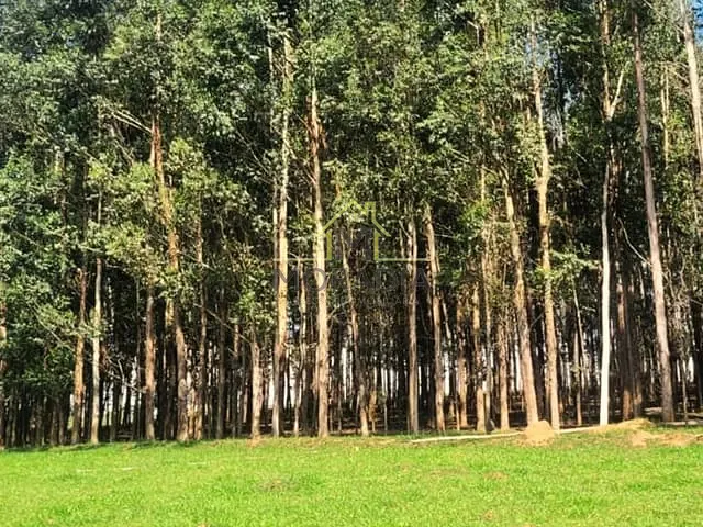 Sítio com 315000m² 4 quartos e 4 banheiros, à venda, no bairro Zona Rural em Arceburgo