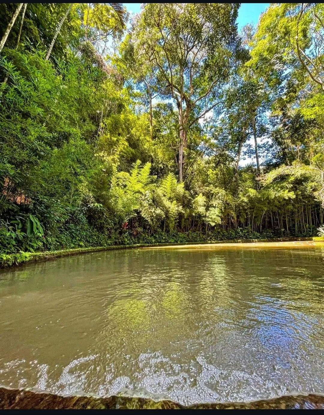 Fazenda, 2 hectares - Foto 19