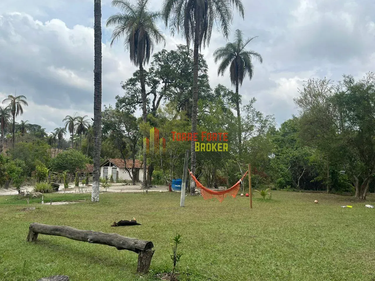 Fazenda, 2 hectares - Foto 4