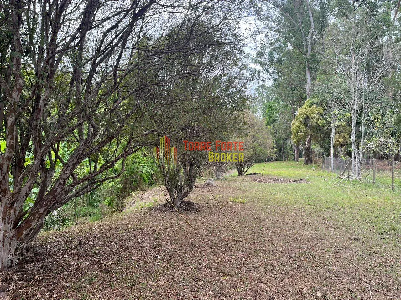 Fazenda, 2 hectares - Foto 6