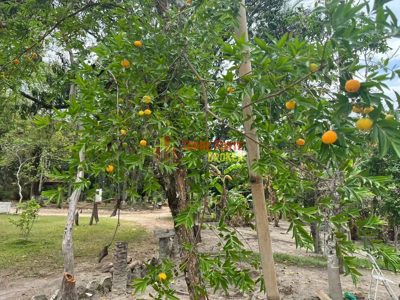 Fazenda, 2 hectares - Foto 15