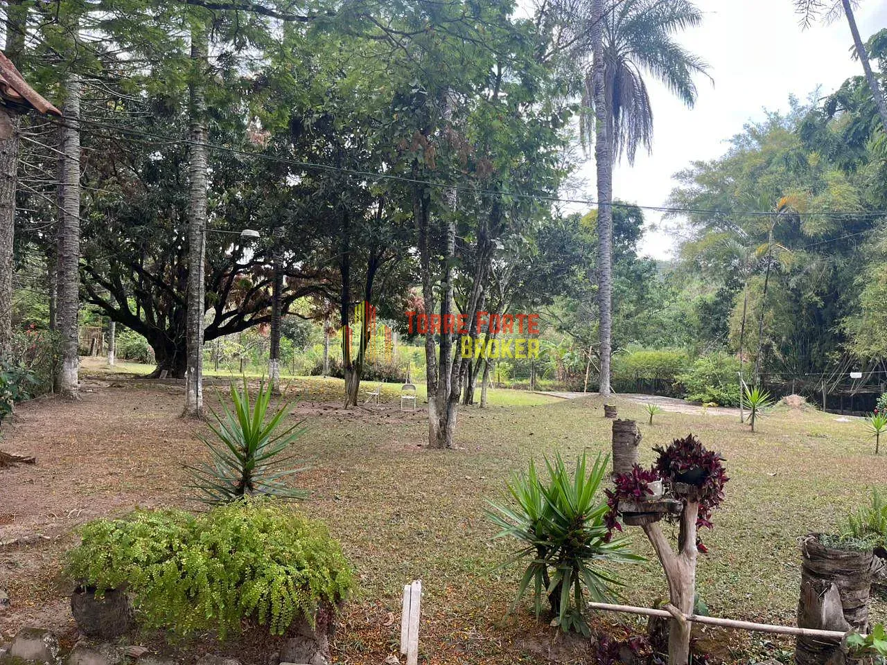 Fazenda, 2 hectares - Foto 13