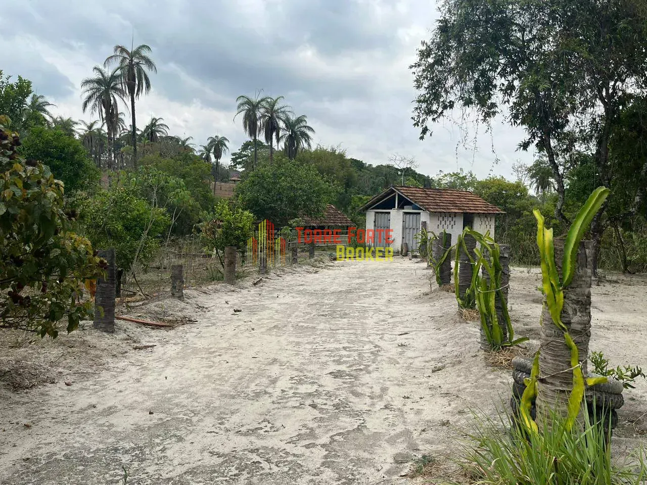 Fazenda, 2 hectares - Foto 16