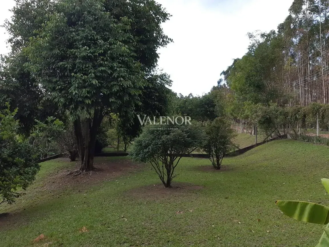 Fazenda, 4 hectares - Foto 14