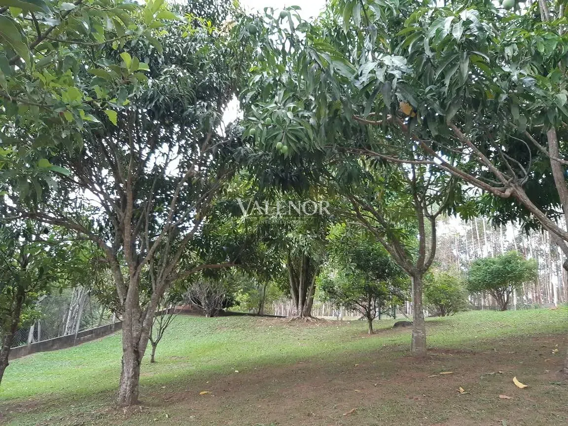 Fazenda, 4 hectares - Foto 15