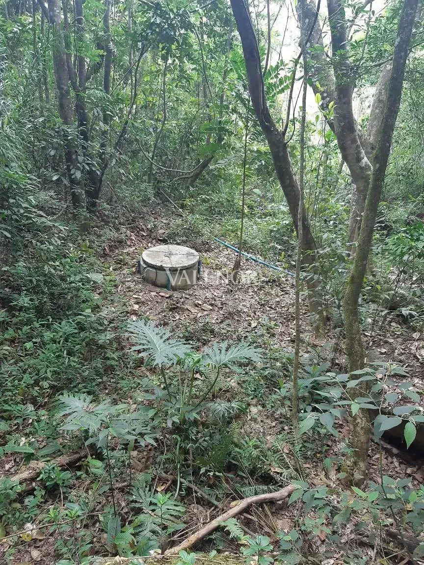 Fazenda, 4 hectares - Foto 17