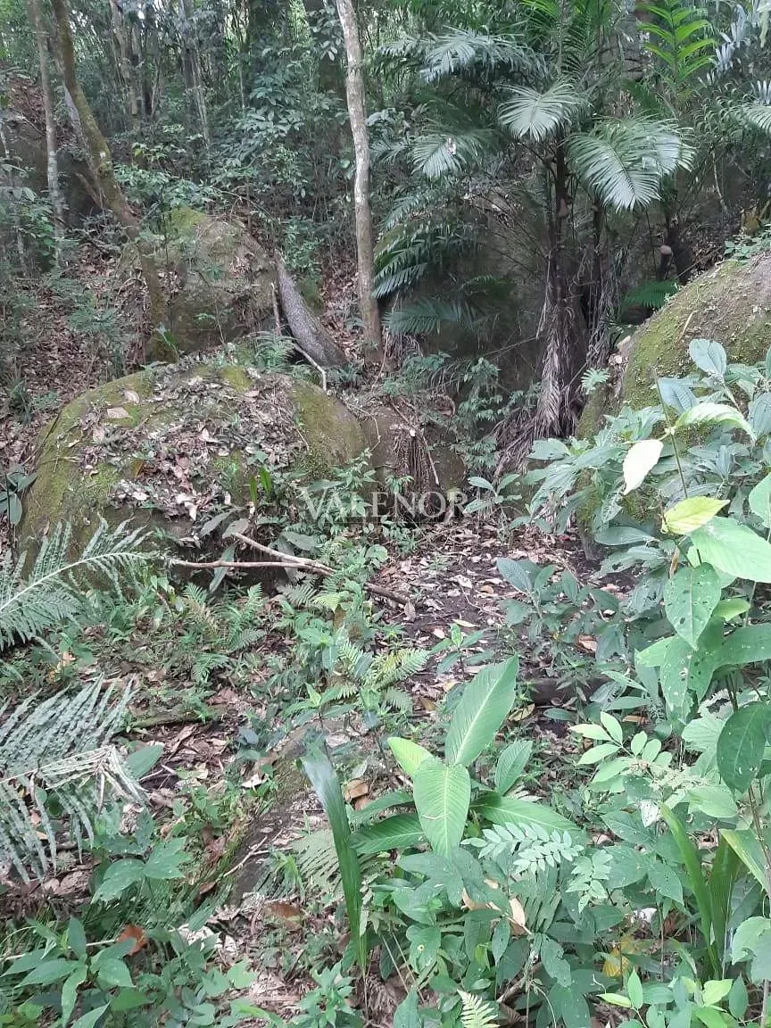 Fazenda, 4 hectares - Foto 19