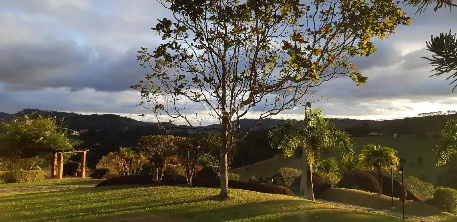 Fazenda, 4 hectares - Foto 60