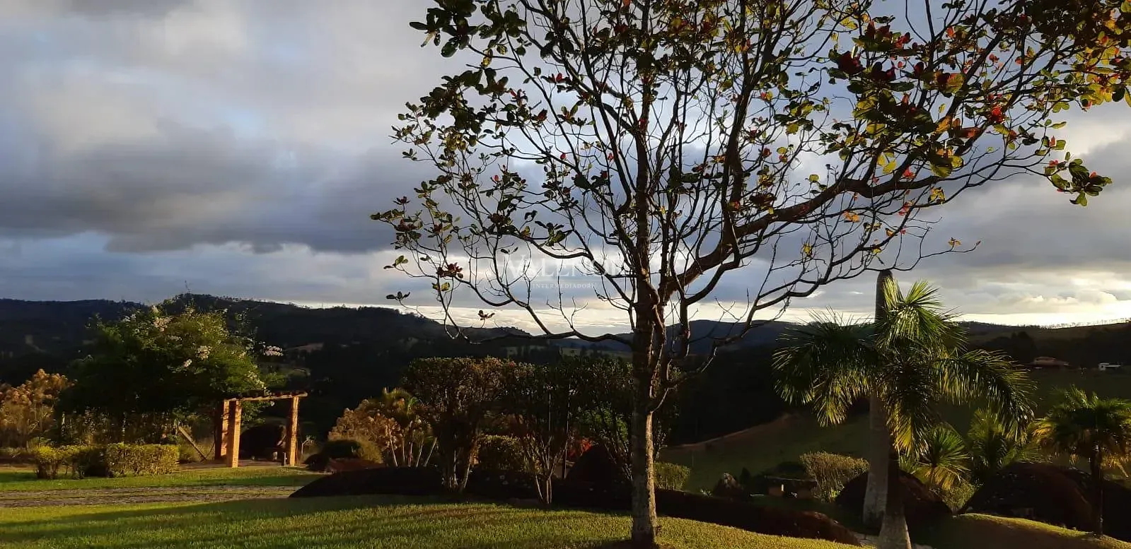 Fazenda, 4 hectares - Foto 64