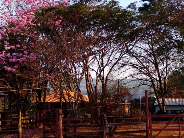 Sítio com 110m² 3 quartos e 3 banheiros, à venda, no bairro lages em Alexânia