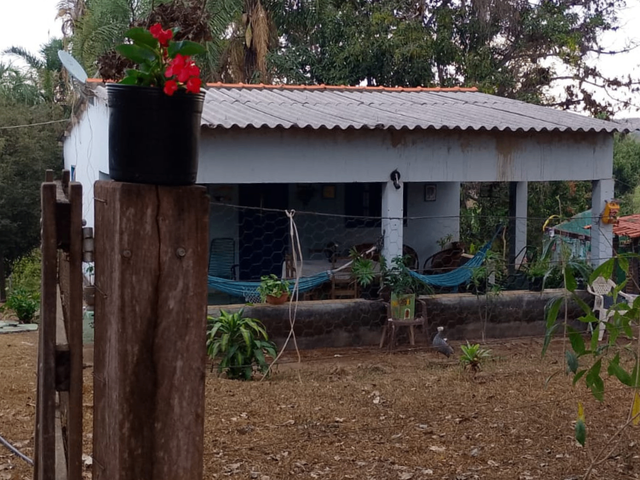 Sítio com 110m² 3 quartos e 3 banheiros, à venda, no bairro lages em Alexânia