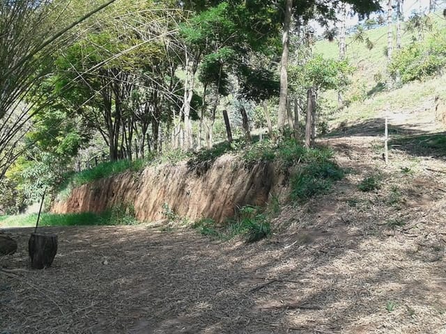Sítio com 67000m², à venda, no bairro Crissiuma em Cambuí