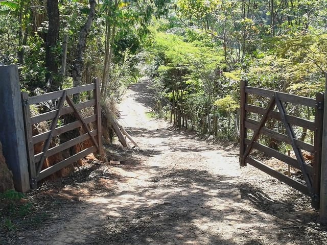 Sítio com 67000m², à venda, no bairro Crissiuma em Cambuí