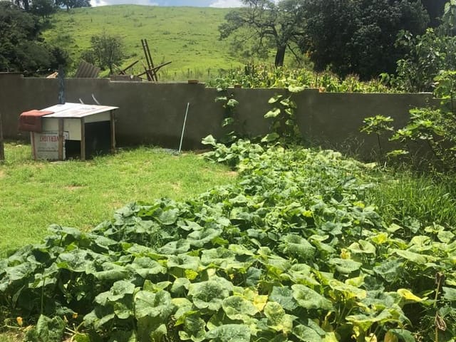 Sítio com 24200m² 2 quartos e 2 banheiros, à venda ou para alugar, no bairro Macuco em São João da Boa Vista