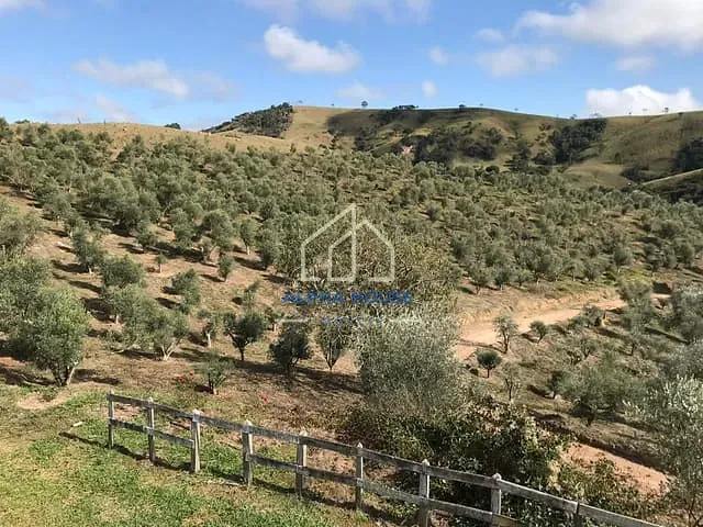 Sítio com 1m² 1 quarto e 1 banheiro, à venda, no bairro Jardim Novo Horizonte em Lorena