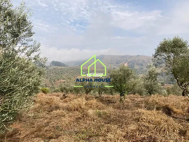 Sítio com 1m² 1 quarto e 1 banheiro, à venda, no bairro Jardim Novo Horizonte em Lorena