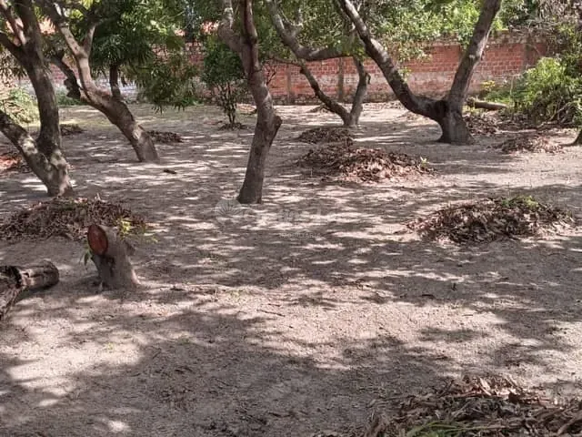 Sítio com 250m² 3 quartos e 2 banheiros, à venda, no bairro Centro em José De Freitas