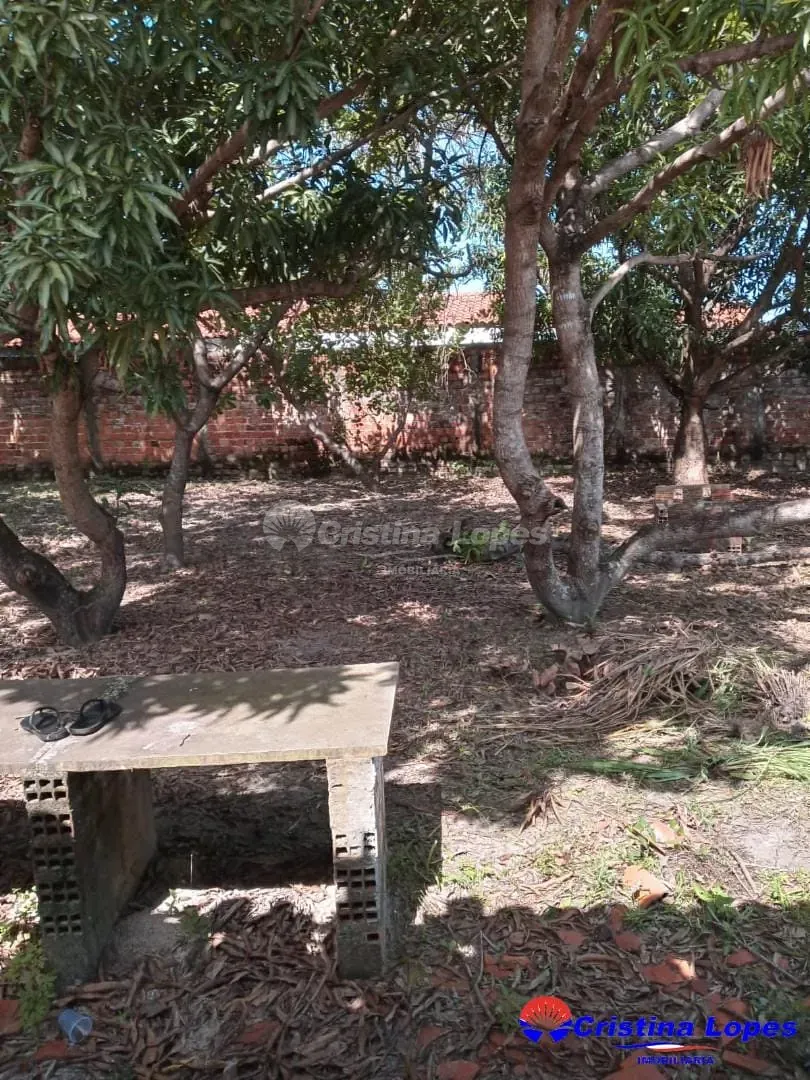 Fazenda, 250 m² - Foto 2