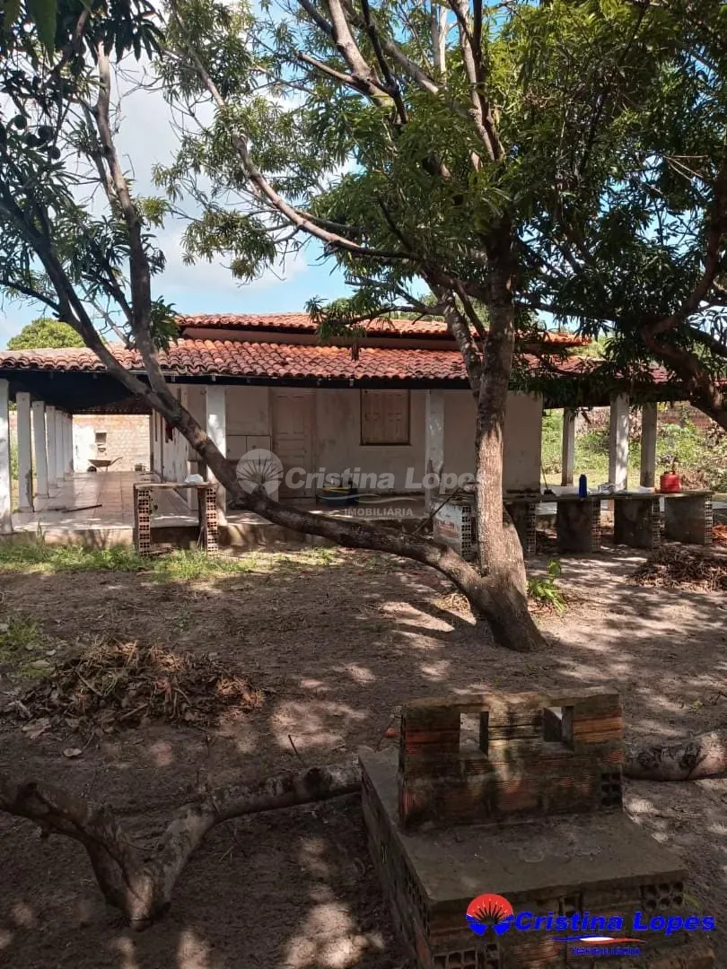 Fazenda, 250 m² - Foto 3