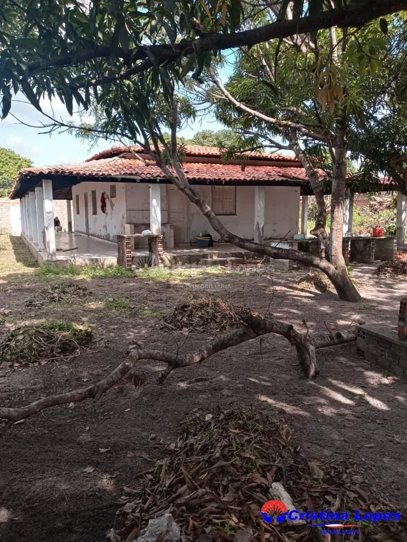 Fazenda, 250 m² - Foto 4