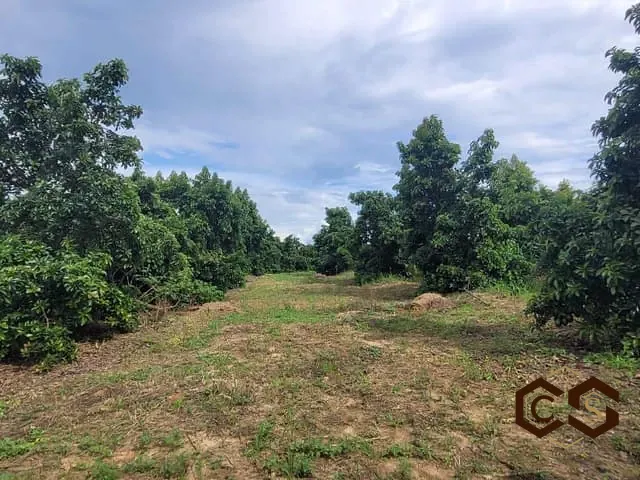 Sítio com 45000m² 2 quartos e 1 banheiro, à venda, no bairro Área Rural de Monte Mor em Monte Mor