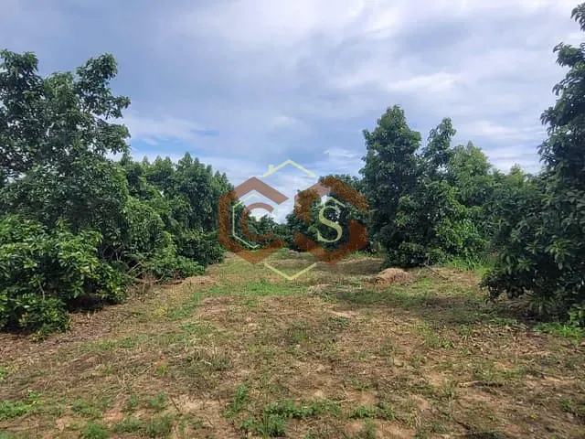 Sítio com 45000m² 2 quartos e 1 banheiro, à venda, no bairro Área Rural de Monte Mor em Monte Mor