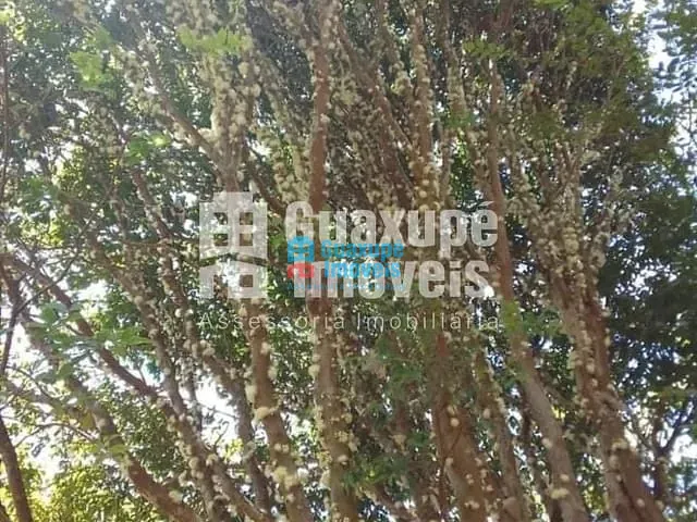 Sítio com 100m², à venda, no bairro MORRO PRETO em MUZAMBINHO
