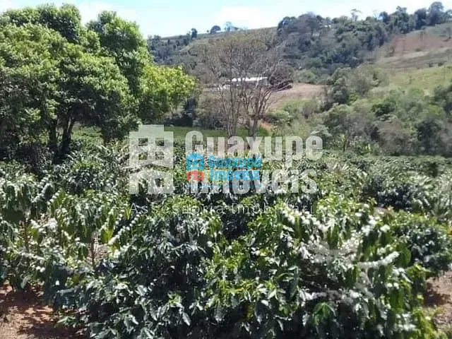Sítio com 100m², à venda, no bairro MORRO PRETO em MUZAMBINHO