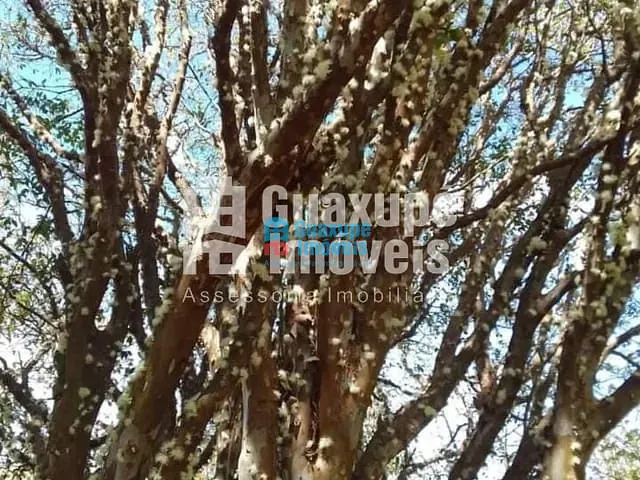 Sítio com 100m², à venda, no bairro MORRO PRETO em MUZAMBINHO