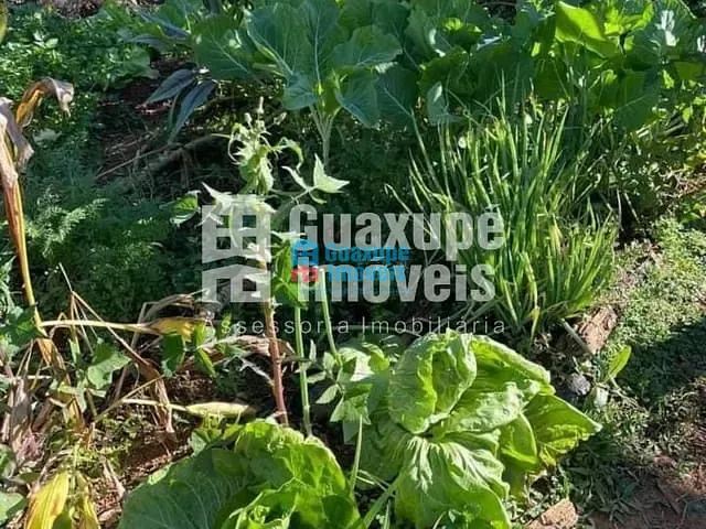 Sítio com 100m², à venda, no bairro MORRO PRETO em MUZAMBINHO