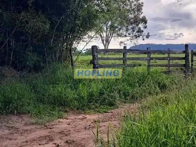 Sítio com 387200m², à venda, no bairro Bela Vista em Ipeúna
