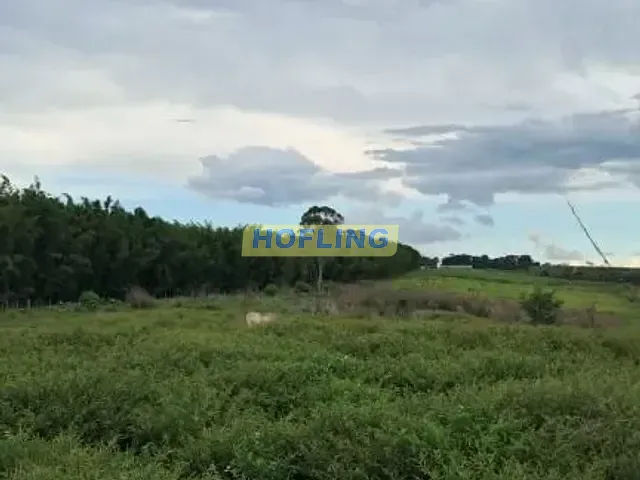Sítio com 387200m², à venda, no bairro Bela Vista em Ipeúna