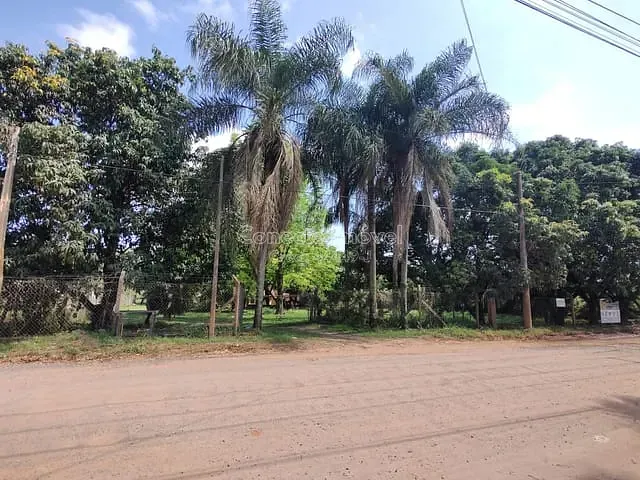 Chácara com 6336m² 3 quartos e 3 banheiros, à venda, no bairro Borda da Mata em Holambra