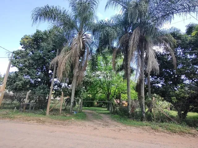 Chácara com 6336m² 3 quartos e 3 banheiros, à venda, no bairro Borda da Mata em Holambra