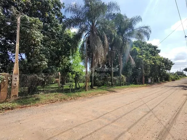 Chácara com 6336m² 3 quartos e 3 banheiros, à venda, no bairro Borda da Mata em Holambra