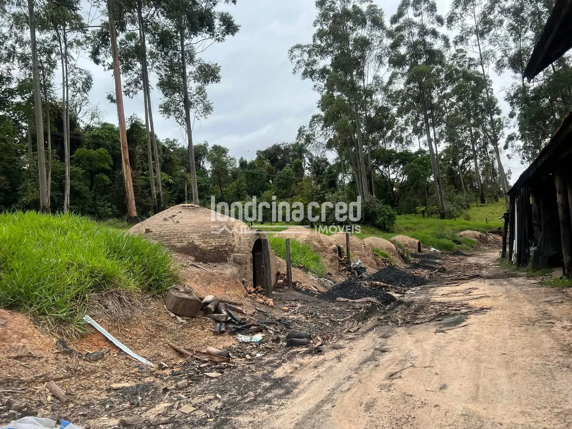 Fazenda, 8 hectares - Foto 10